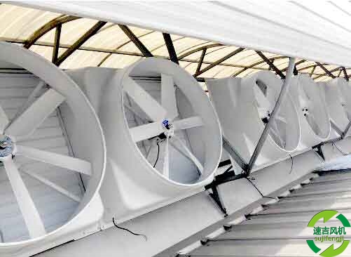 新泰低噪音65DB负压风机,排风扇大量现货热卖